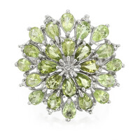 Paraiba Tourmaline Silver Ring
