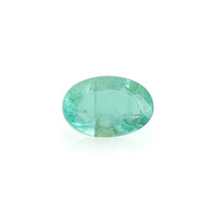 Russian Emerald other gemstone 0,495 ct