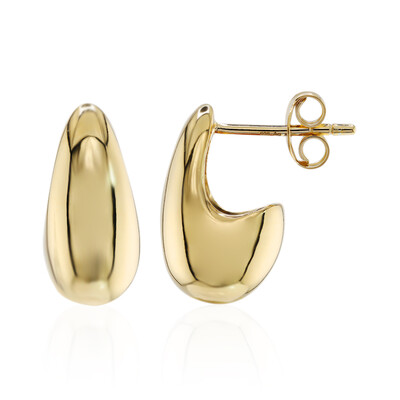 Silver Earrings (M de Luca)