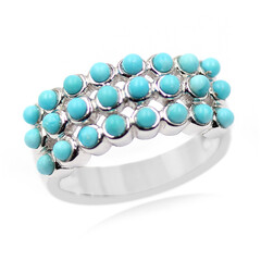 Sleeping Beauty Turquoise Silver Ring (Anne Bever)
