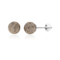 Petrified Coral Silver Earrings