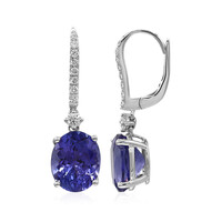 14K AAA Tanzanite Gold Earrings (CIRARI)