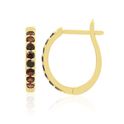 Garnet Silver Earrings