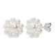 White Freshwater Pearl Silver Earrings