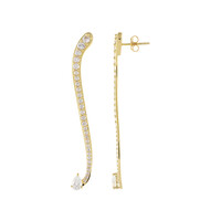 Zircon Silver Earrings