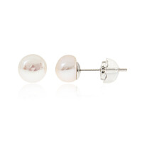 Freshwater pearl Silver Earrings