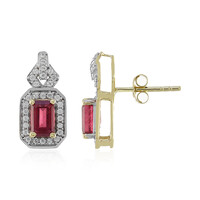 9K Madagascar Ruby Gold Earrings (Adela Gold)