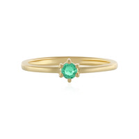 Colombian Emerald Silver Ring