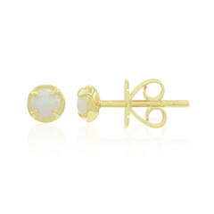 9K Coober Pedy Opal Gold Earrings (Mark Tremonti)