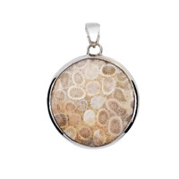 Petrified Coral Silver Pendant