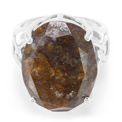 Dinosaur Bone Silver Ring