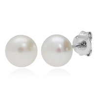 Freshwater pearl Silver Earrings