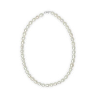 Freshwater pearl Silver Necklace