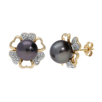 14K Tahitian Pearl Gold Earrings