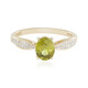 14K Sphene Gold Ring (AMAYANI)