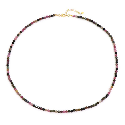Fancy Tourmaline Silver Necklace