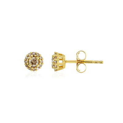 PK Champagne Diamond Silver Earrings