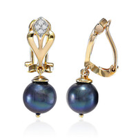 Freshwater pearl Silver ear clips