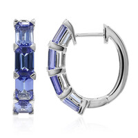 14K AAA Tanzanite Gold Earrings (CIRARI)