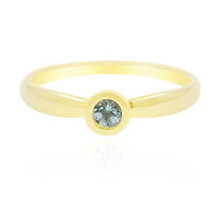 9K Nigerian Paraiba Tourmaline Gold Ring
