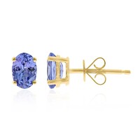 14K AAA Tanzanite Gold Earrings (CIRARI)