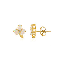 Welo Opal Silver Earrings