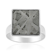Aletai-Meteorite Silver Ring