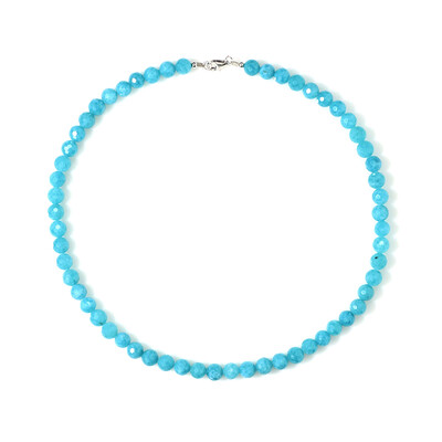 Amazonite Silver Necklace