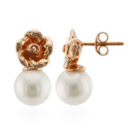 9K White Freshwater Pearl Gold Earrings (TPC)