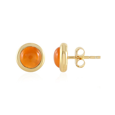 Carnelian Silver Earrings