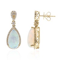 14K AAA Welo Opal Gold Earrings (CIRARI)