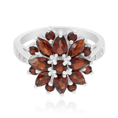 Mozambique Garnet Silver Ring