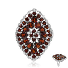 Mozambique Garnet Silver Ring