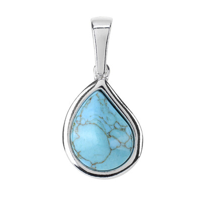 Turquoise Silver Pendant (dagen)