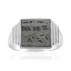 Aletai-Meteorite Silver Ring