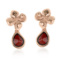 Baltic Amber Silver Earrings