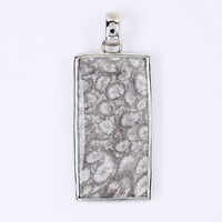 Petrified Coral Silver Pendant