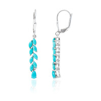 Sleeping Beauty Turquoise Silver Earrings