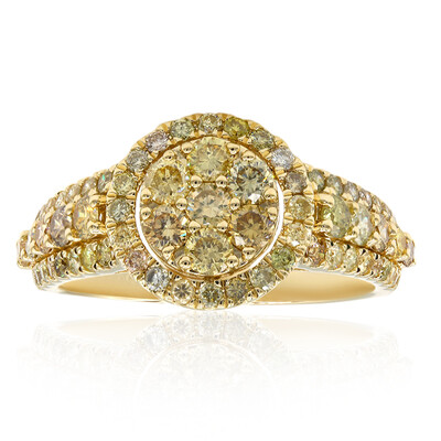 14K SI2 Fancy Diamond Gold Ring (CIRARI)