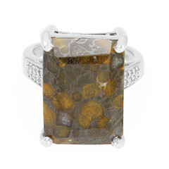 Dinosaur Bone Silver Ring