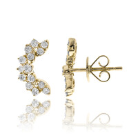14K I1 (H) Diamond Gold Earrings (CIRARI)