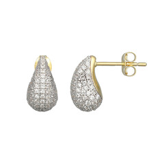 Zircon Silver Earrings (Adela Silber)