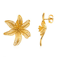 Silver Earrings (Joias do Paraíso)
