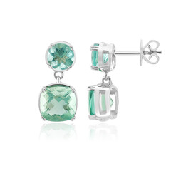 Braldu Fluorite Silver Earrings (Pallanova)