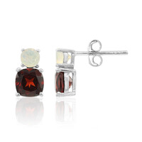 Garnet Silver Earrings