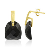 Black Onyx Silver Earrings
