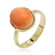 Orange Spiny Oyster Shell Silver Ring