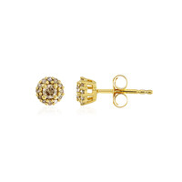PK Champagne Diamond Silver Earrings