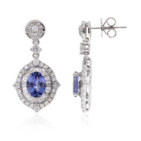 14K AAA Tanzanite Gold Earrings (CIRARI)