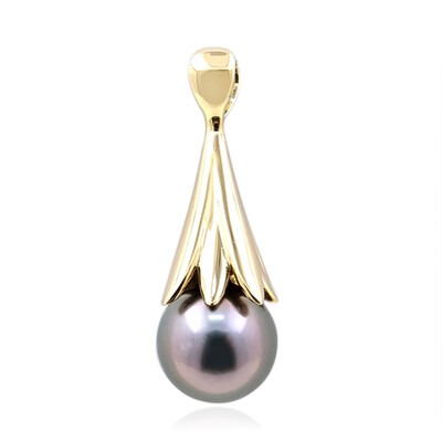 9K Tahitian Pearl Gold Pendant (de Melo)